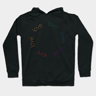 love is love is love is love Hoodie